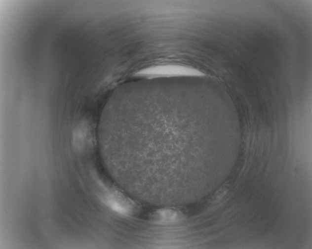 X0000081490272200701191906