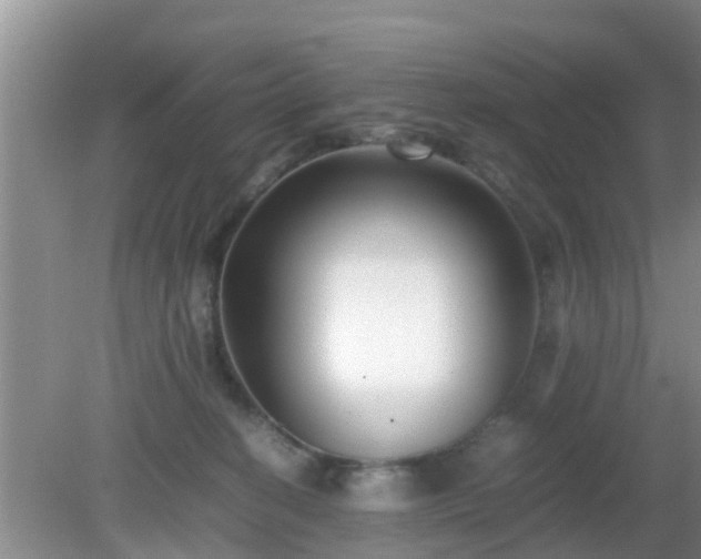 X0000081490274200701191906