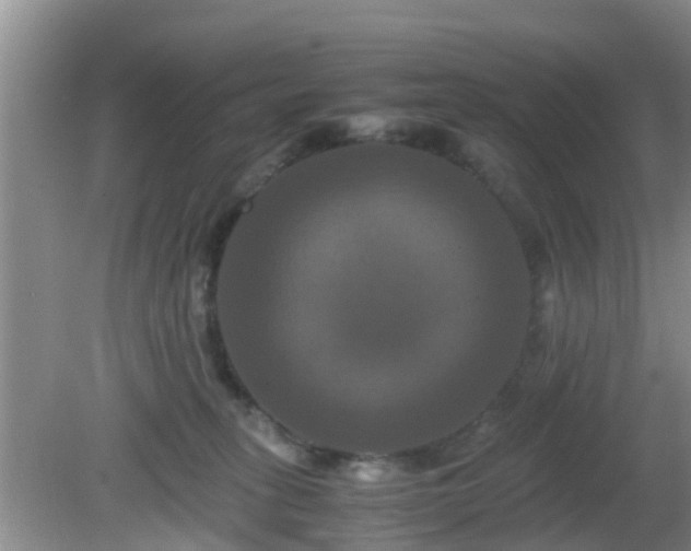 X0000081490275200701191906