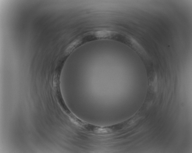 X0000081490277200701191906