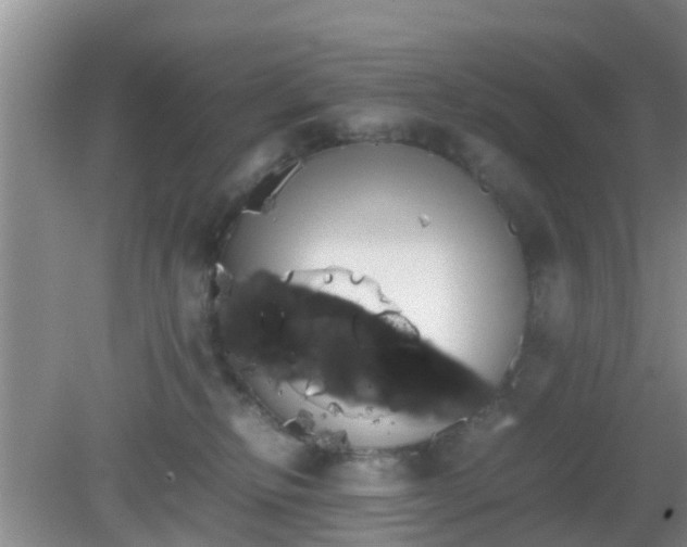 X0000081490278200701191906