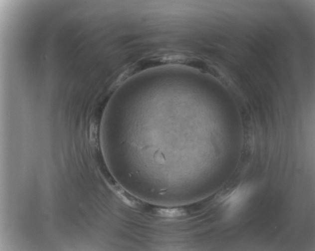 X0000081490281200701191906