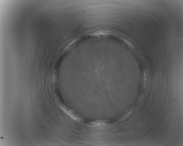 X0000081490284200701191906