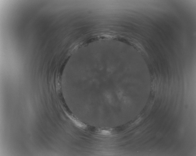 X0000081490285200701191906