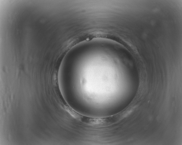 X0000081490288200701191906