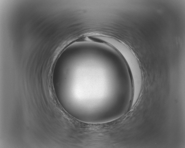 X0000081490289200701191905