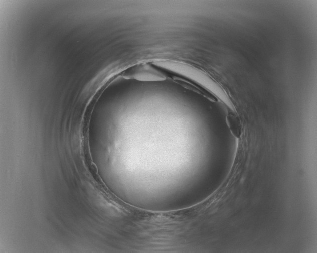 X0000081490290200701191905