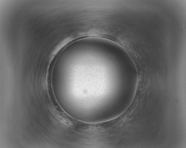 X0000081490292200701191905