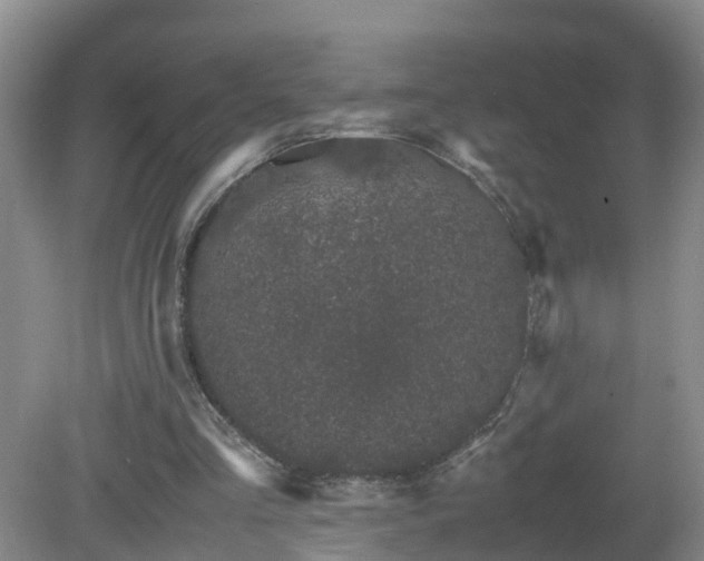 X0000081490293200701191905