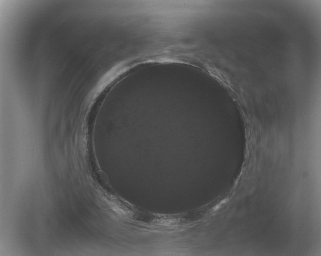 X0000081490295200701191905