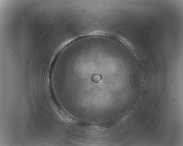 X0000081490298200701191905