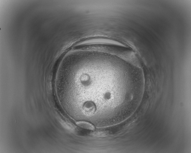 X0000081490299200701191905