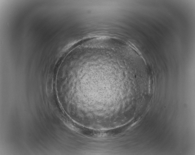 X0000081490301200701191905