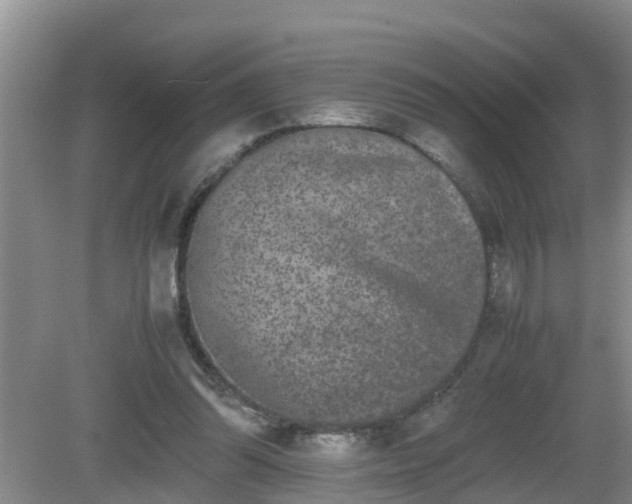 X0000081490302200701191905