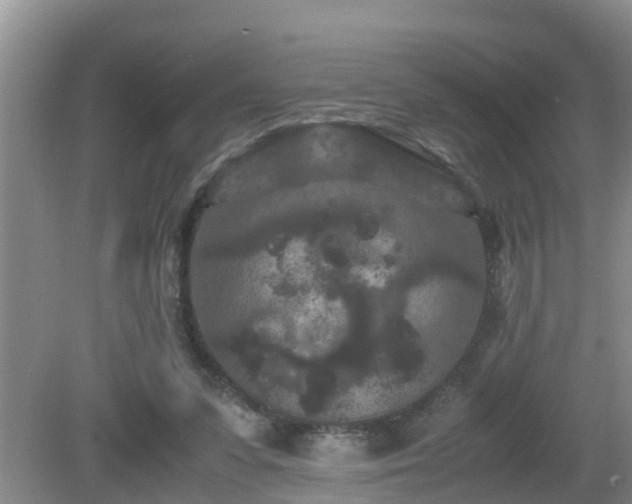 X0000081490303200701191905