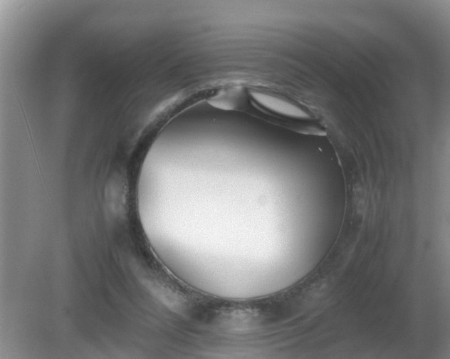 X0000081490304200701191905