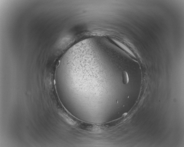 X0000081490305200701191905