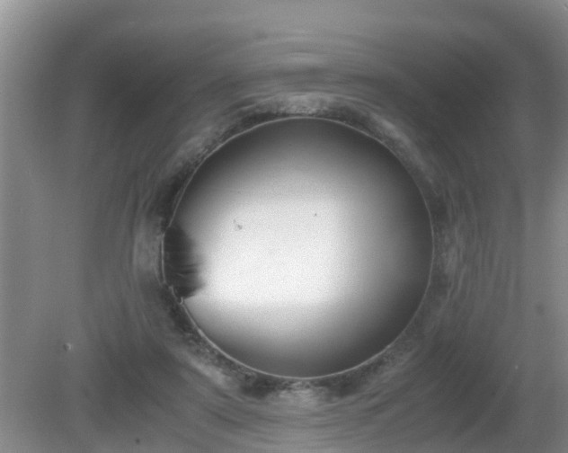 X0000081490307200701191905