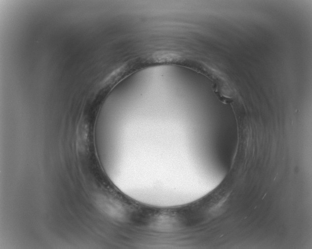 X0000081490308200701191905