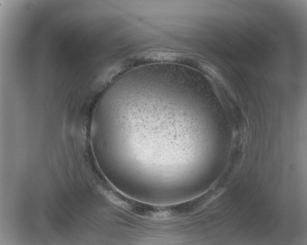 X0000081490309200701191905