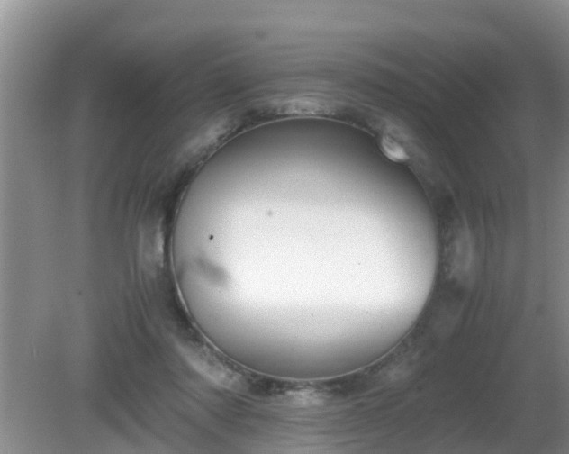 X0000081490310200701191905