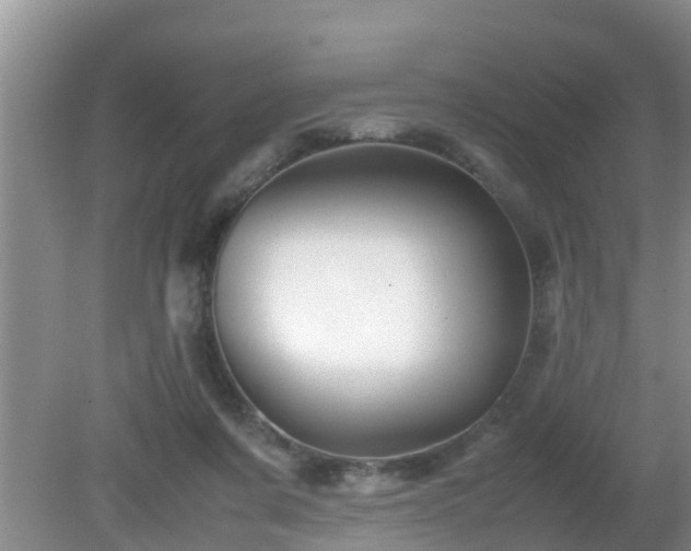 X0000081490311200701191905