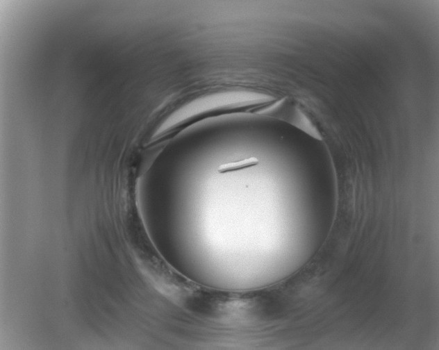 X0000081490312200701191905