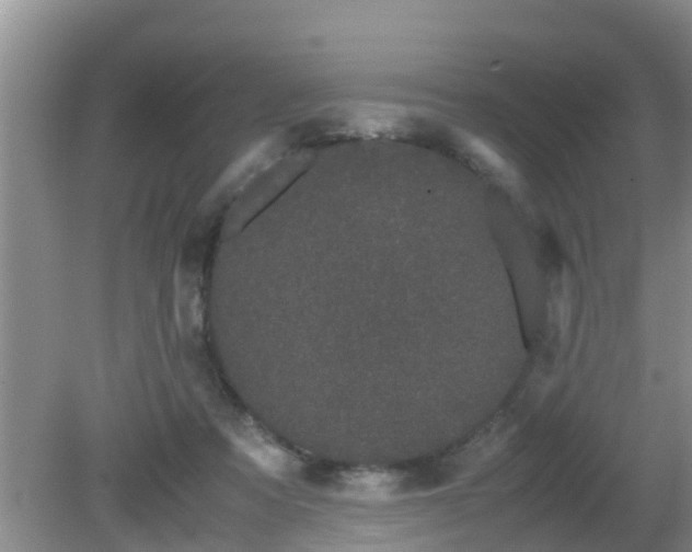 X0000081490313200701191905