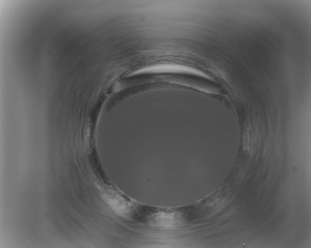 X0000081490314200701191905