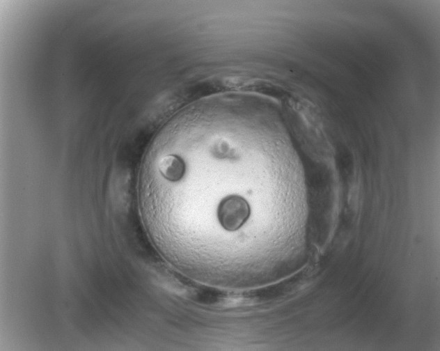 X0000081490319200701191905