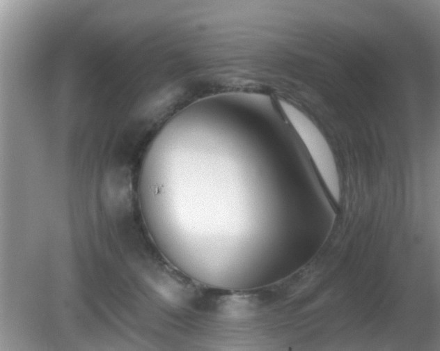 X0000081490320200701191905