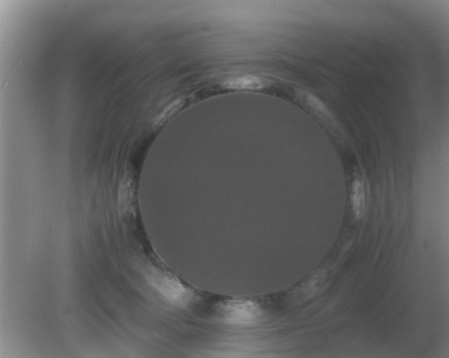 X0000081490322200701191905