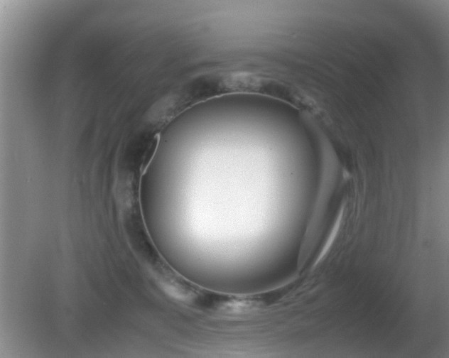 X0000081490323200701191905