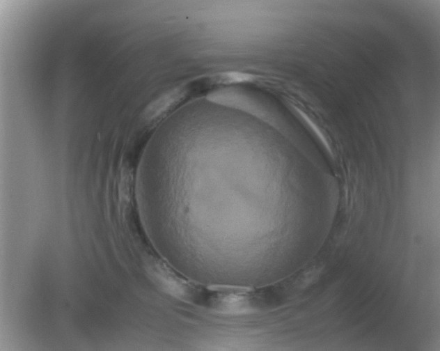 X0000081490325200701191905