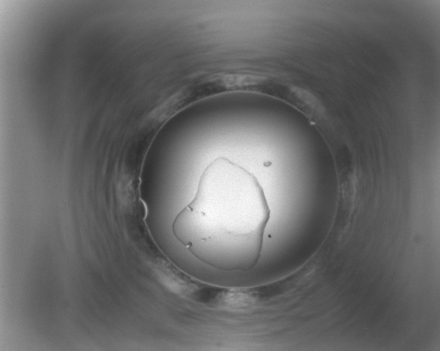 X0000081490327200701191905