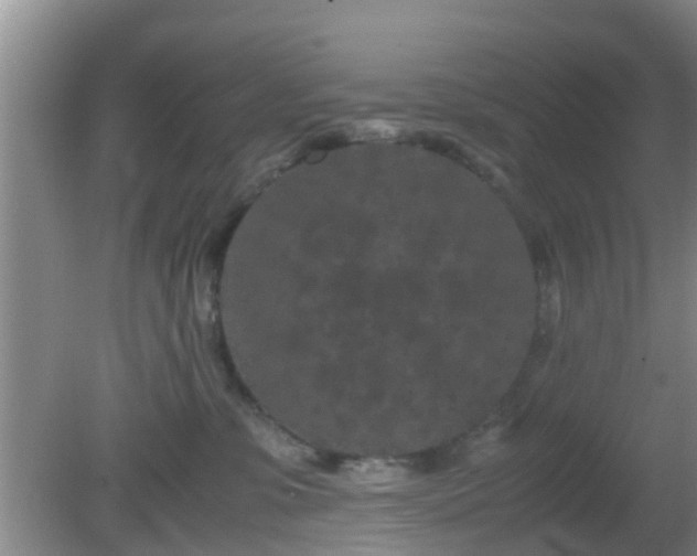 X0000081490331200701191905