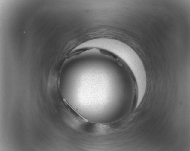 X0000081490333200701191905