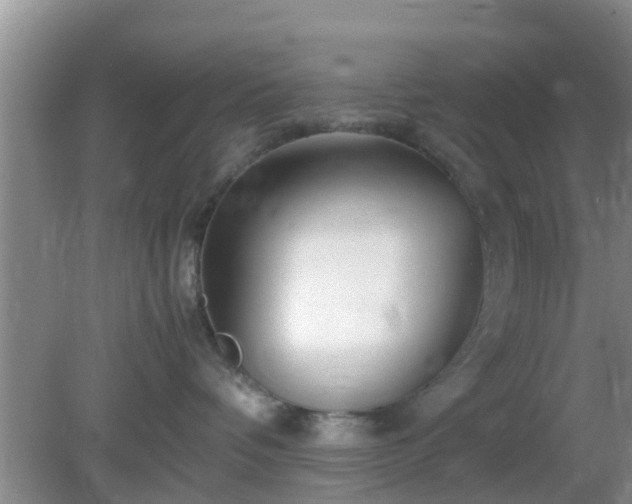 X0000081490336200701191905