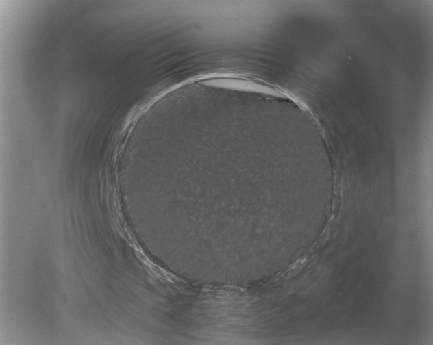 X0000081490337200701191904