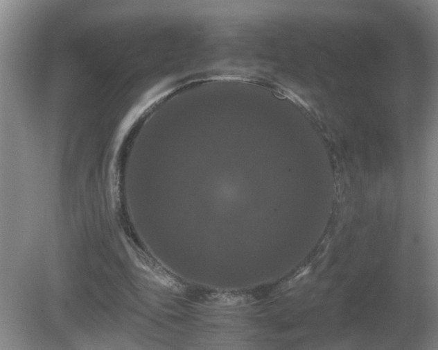 X0000081490343200701191904