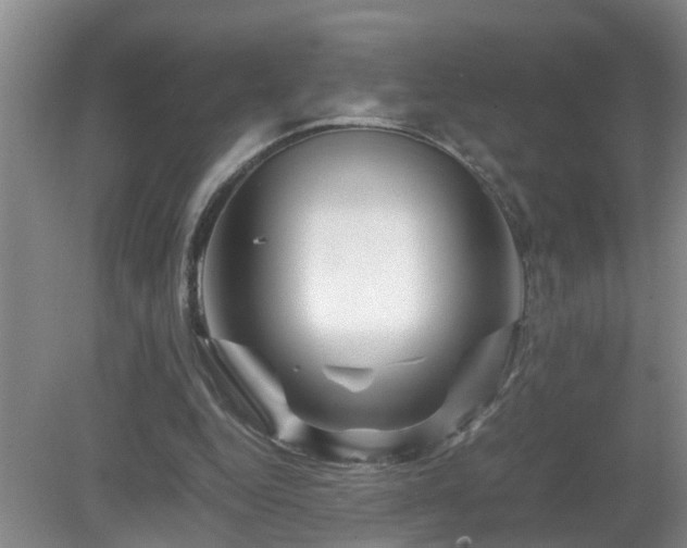 X0000081490344200701191904