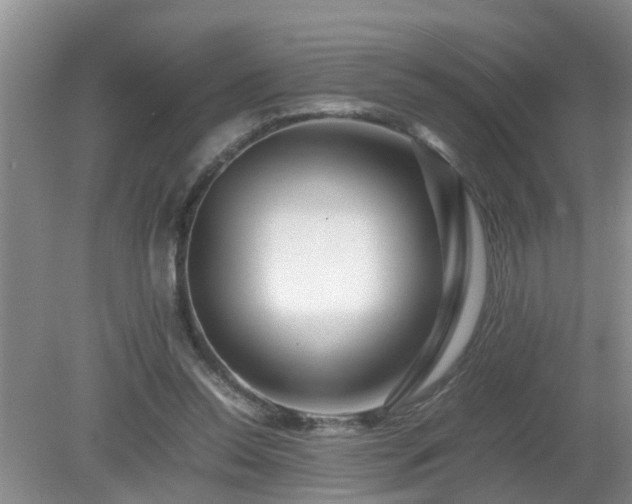 X0000081490350200701191904