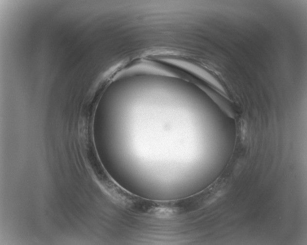 X0000081490352200701191904