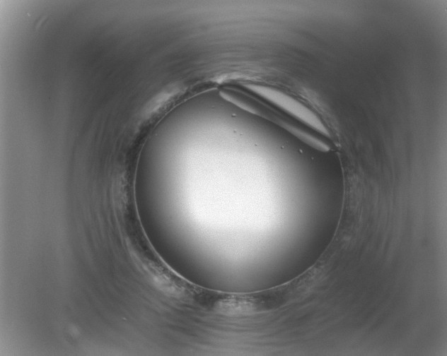 X0000081490354200701191904