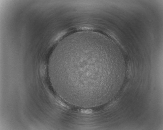 X0000081490355200701191904