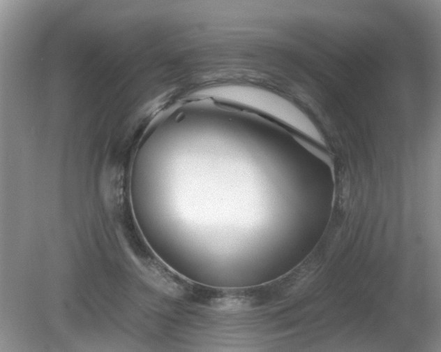 X0000081490356200701191904