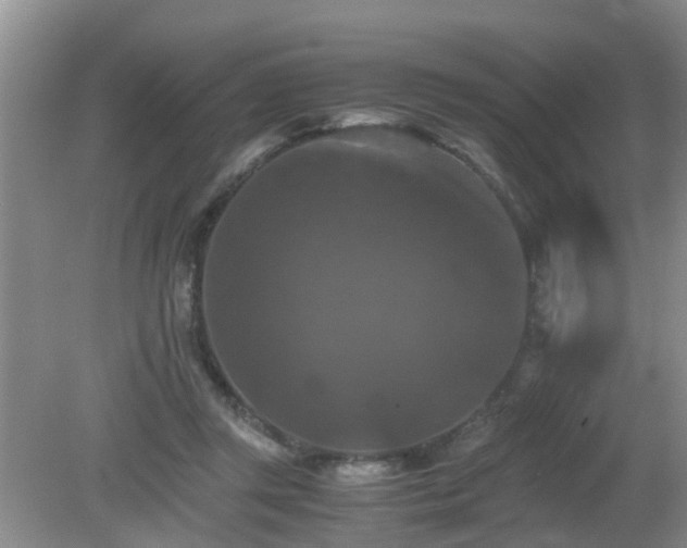 X0000081490357200701191904