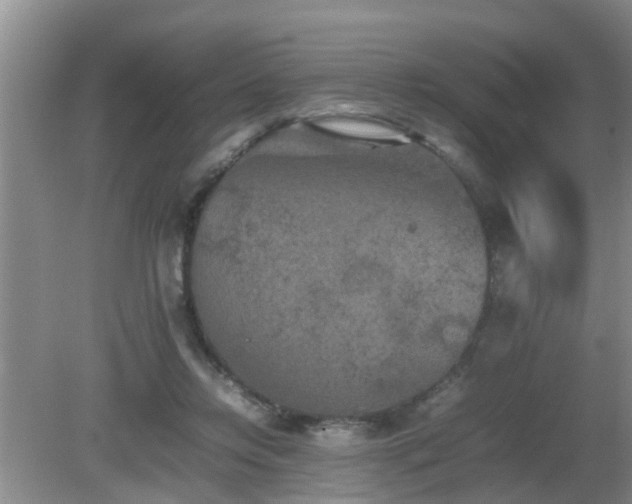 X0000081490358200701191904