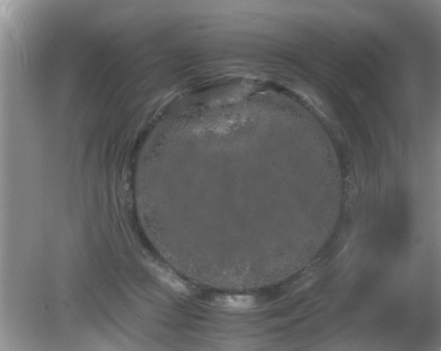 X0000081490361200701191904