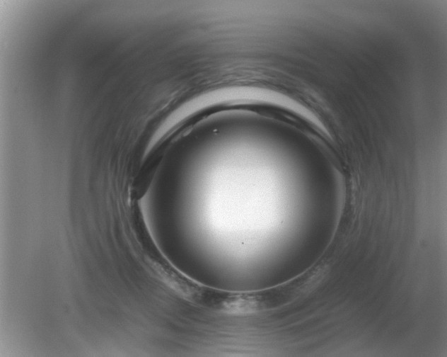 X0000081490362200701191904